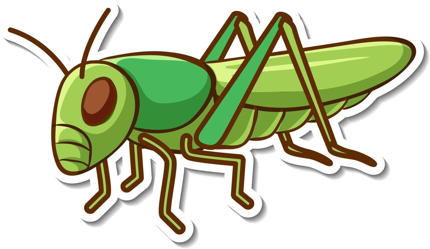 Sticker design with a green grasshopper isolated 2940005 Vector Art at  Vecteezy