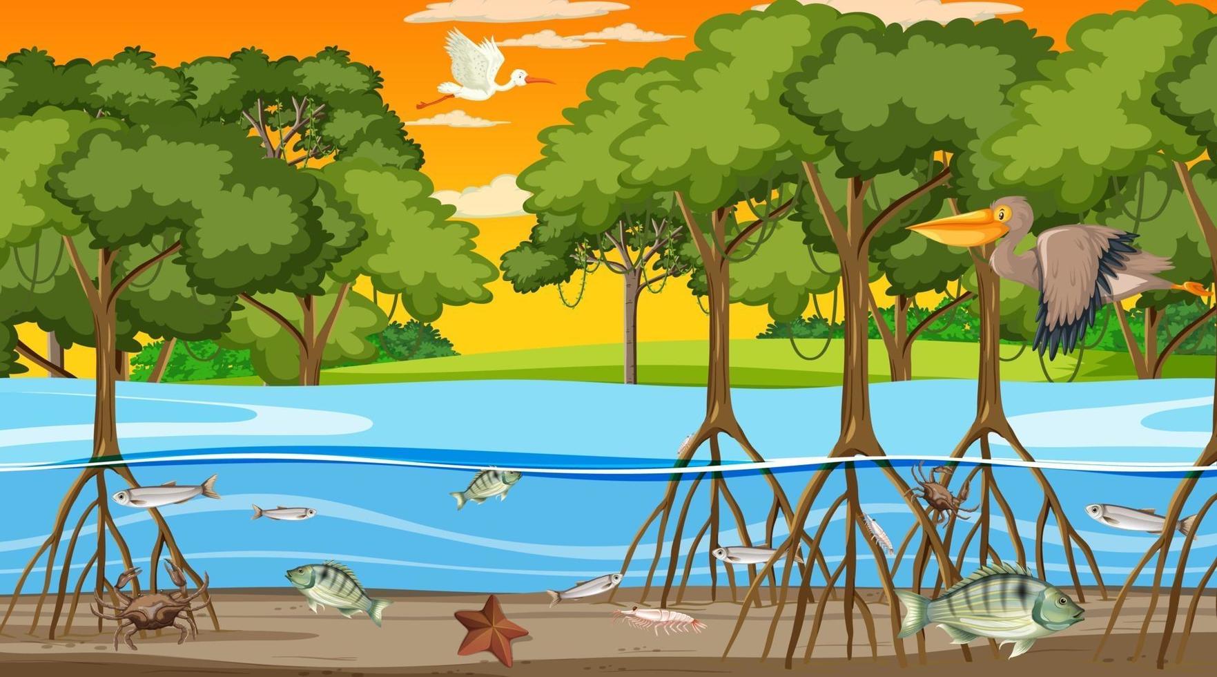 Animals live in Mangrove forest at sunset time scene vector