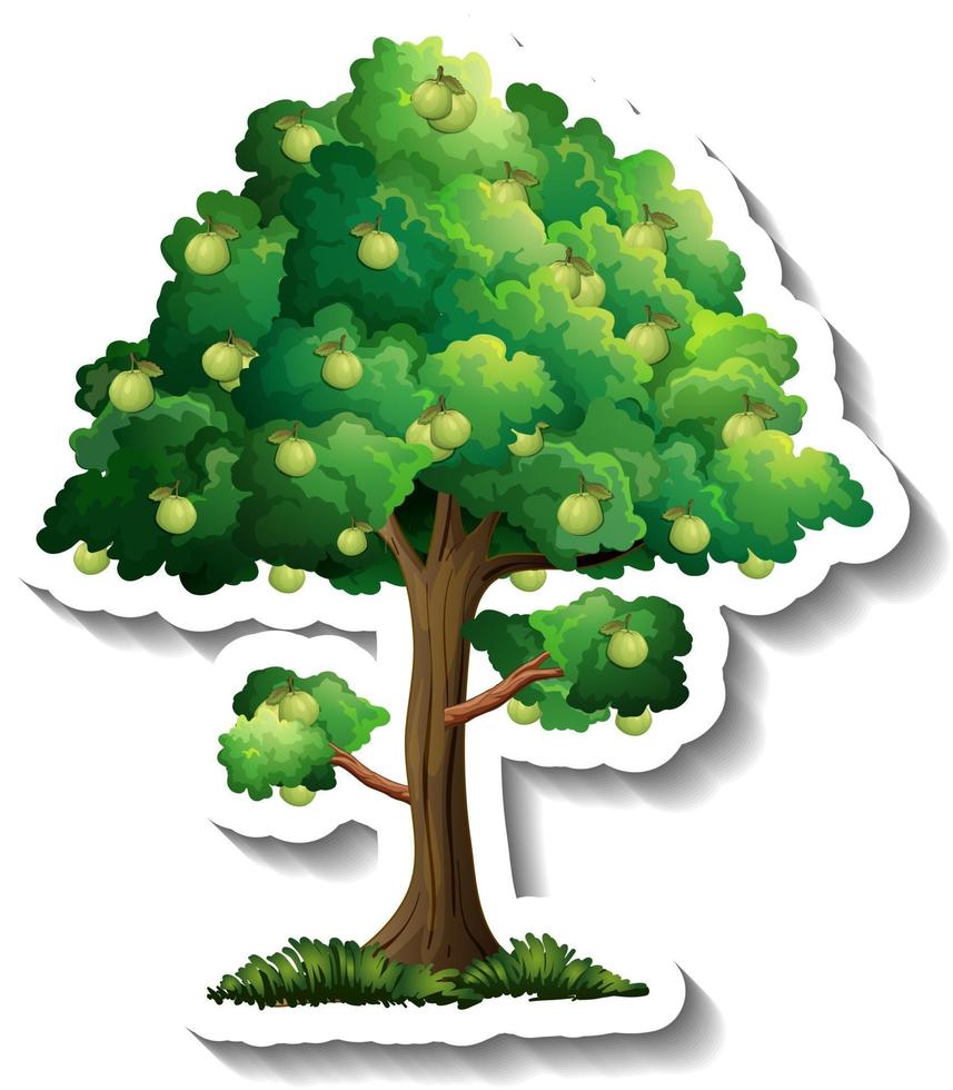 Guava tree sticker on white background vector
