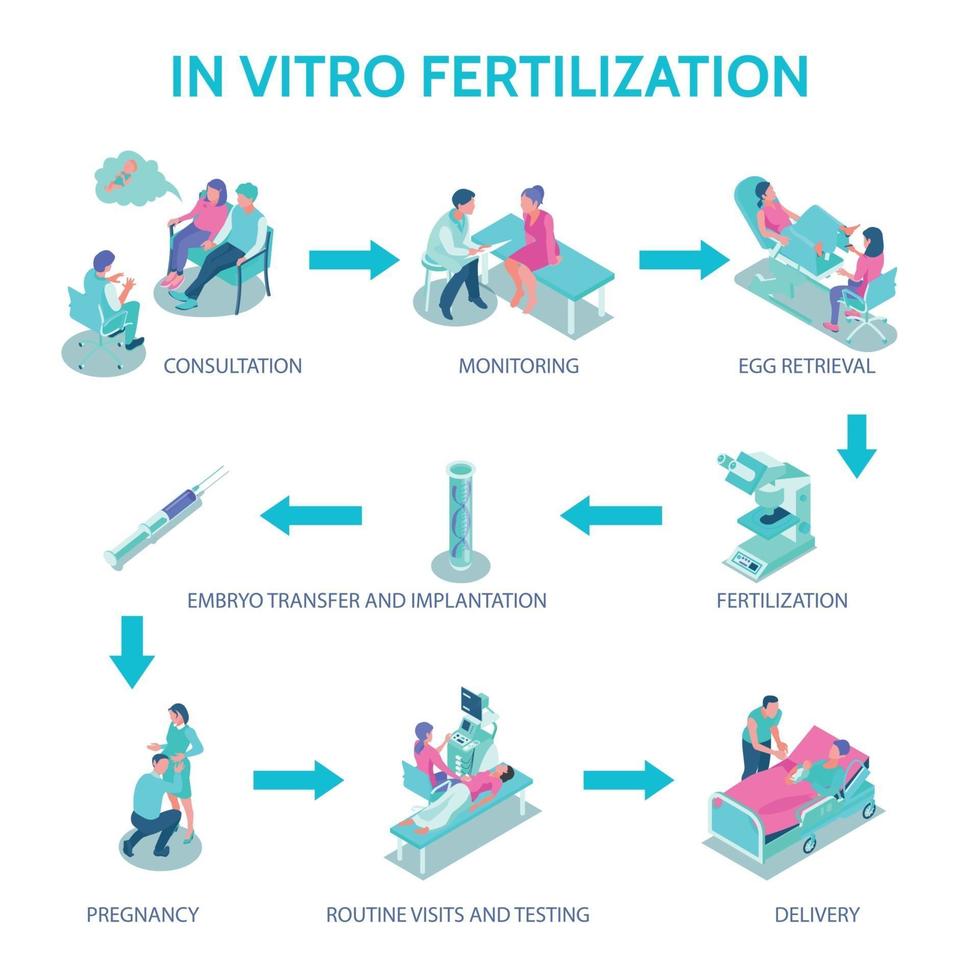 Ilustración de vector de cartel de fertilización in vitro