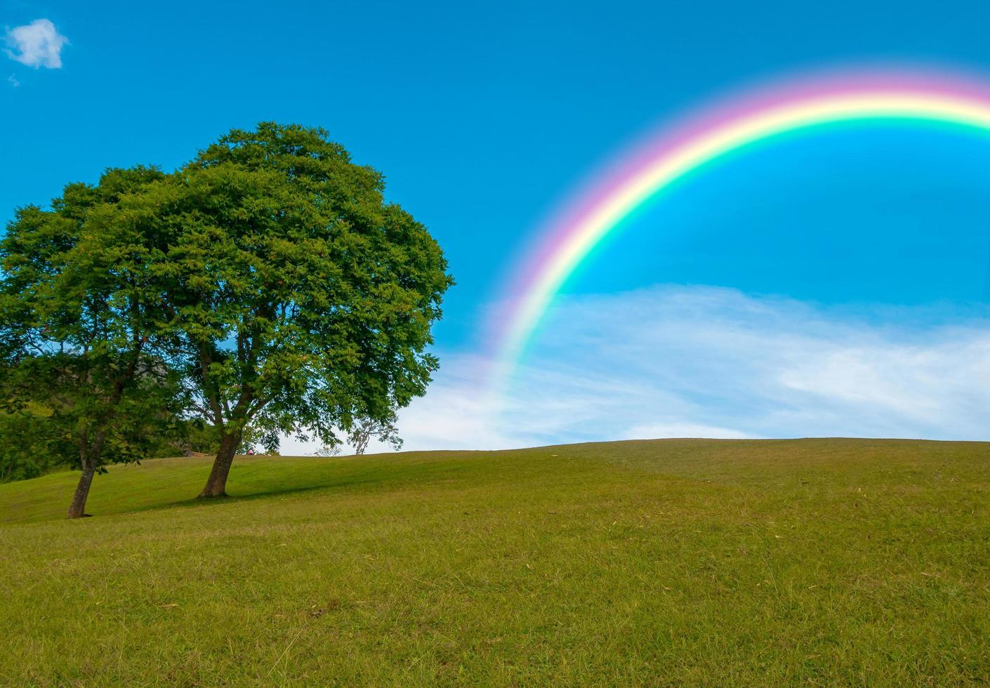 árboles y arco iris, hermosos colores en el cielo azul foto