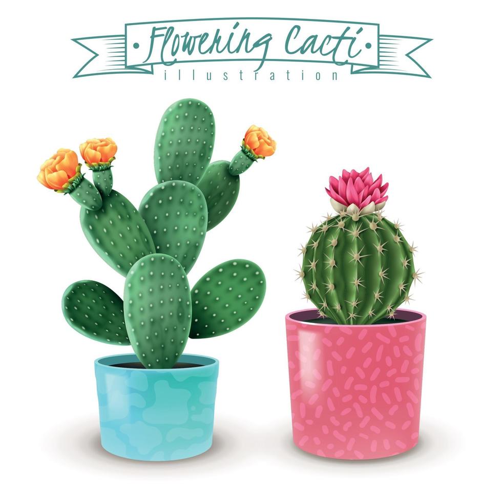 Flowering Cacti Realistic Set Vector Illustration