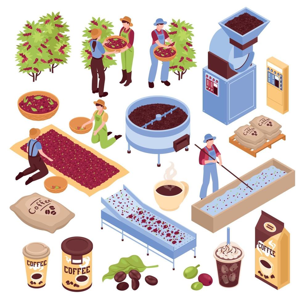 Conjunto de elementos de producción de café ilustración vectorial vector