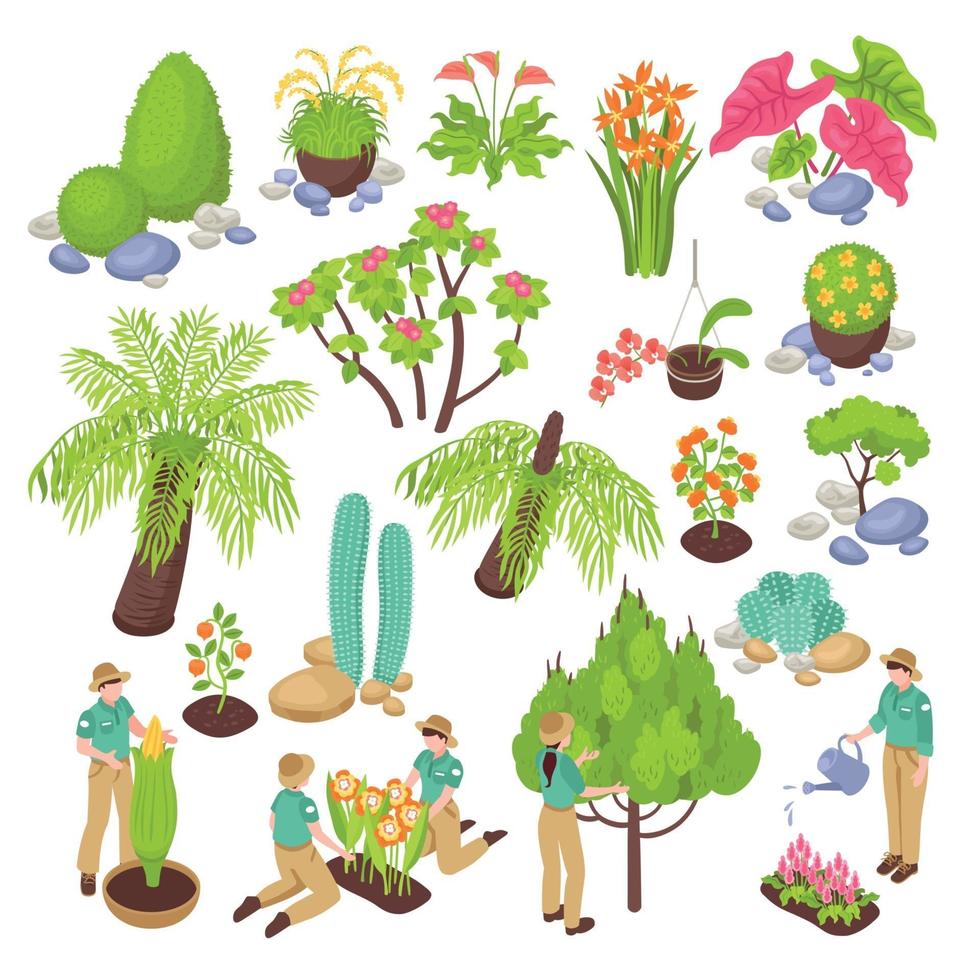 Botanical Garden Constructor Set Vector Illustration