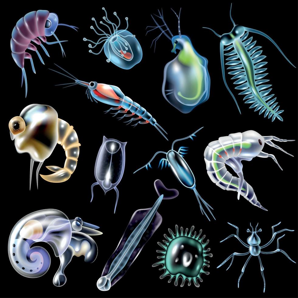 Plankton Set On Black Background Vector Illustration