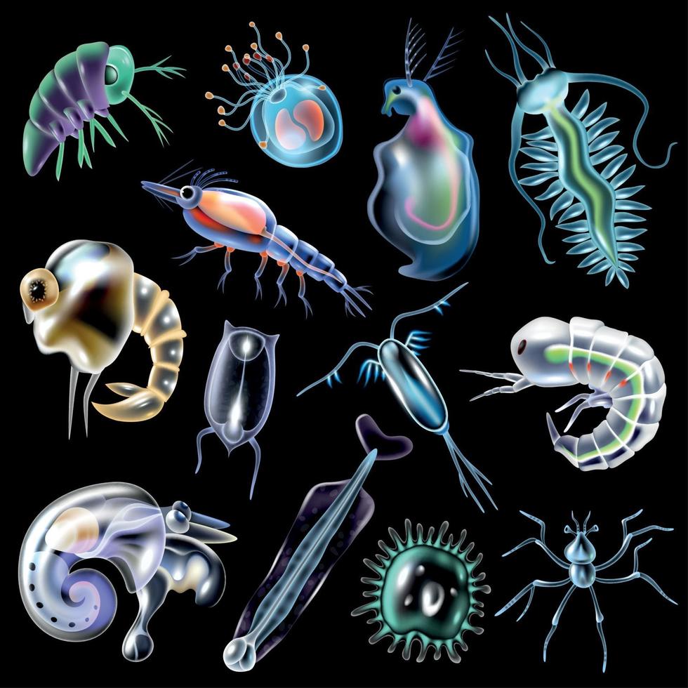 Plankton Set On Black Background Vector Illustration