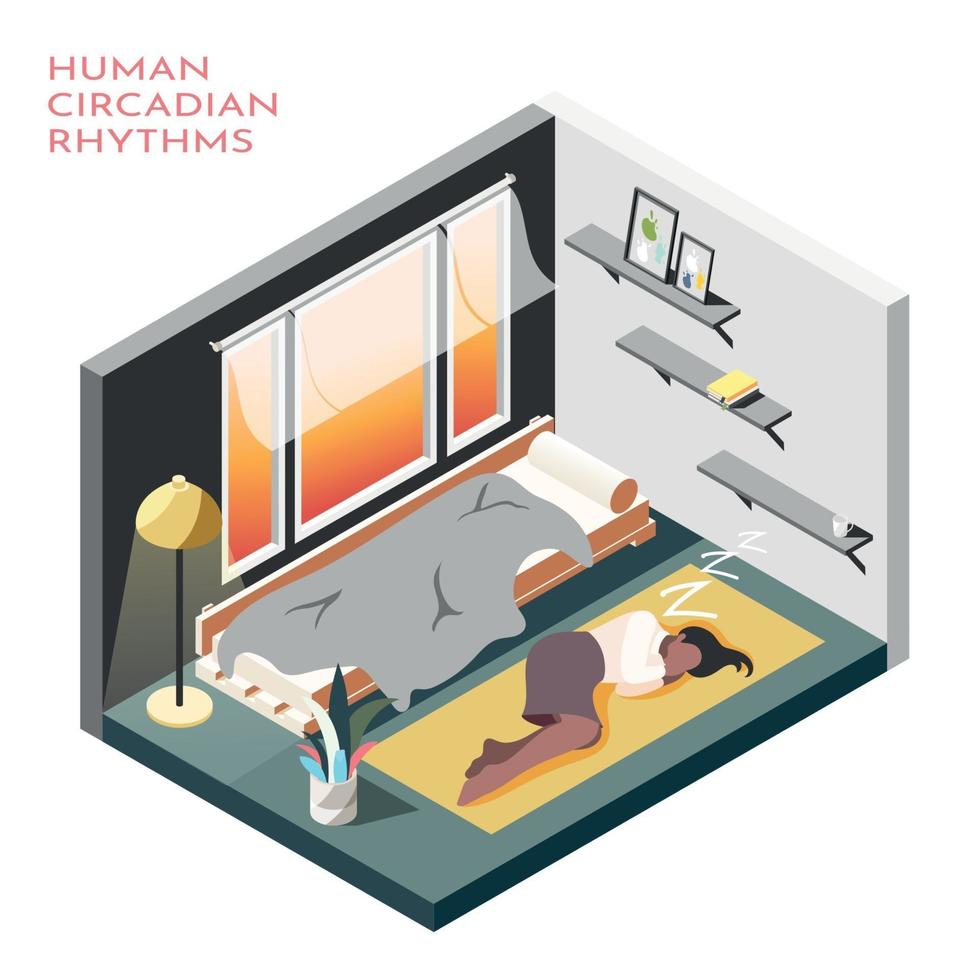 Human Circadian Rhythms Isometric Composition Vector Illustration