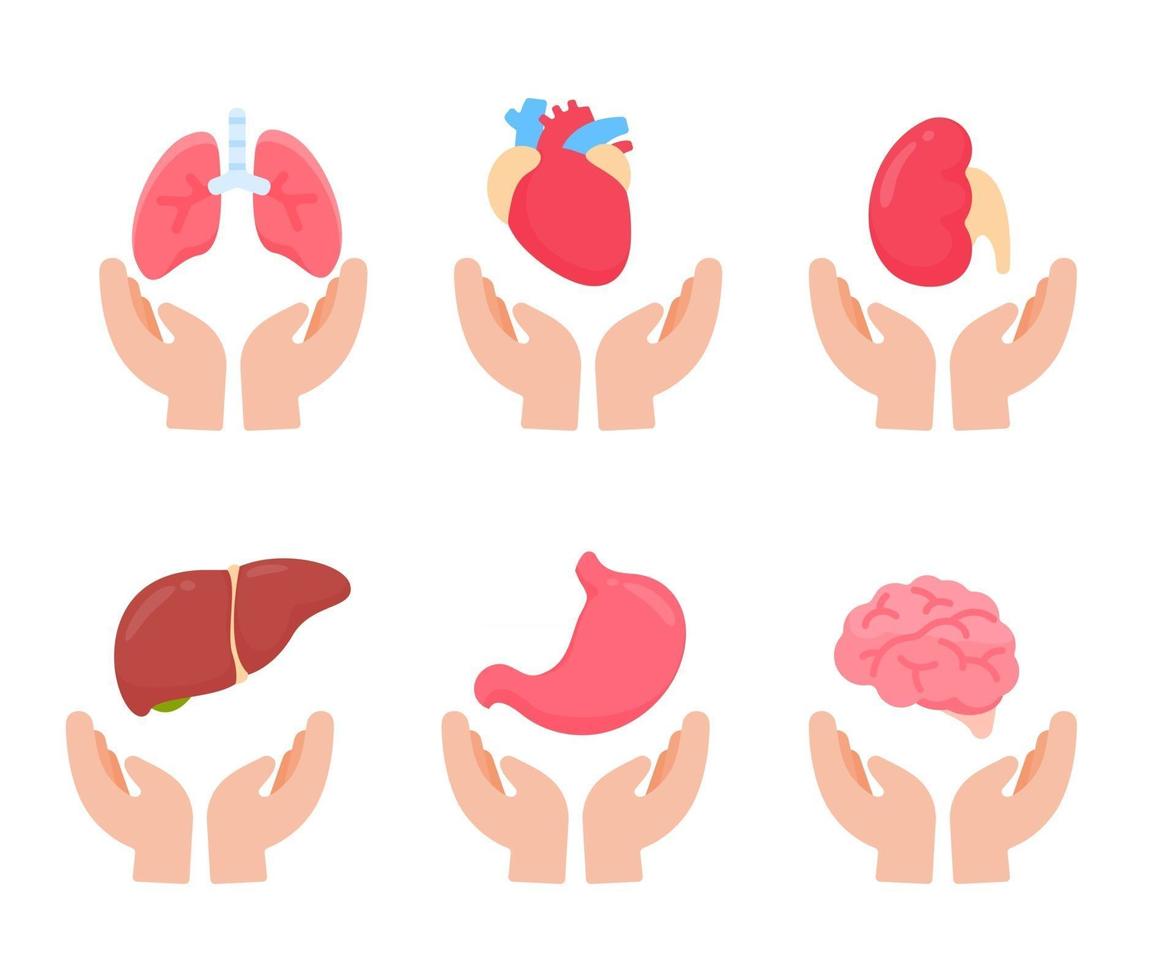 vector de órganos humanos. concepto de las partes internas del cuerpo humano de estudio de los sistemas corporales.