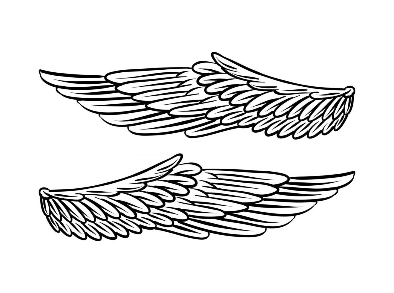 Illustration of Bird Wings for branding element vector