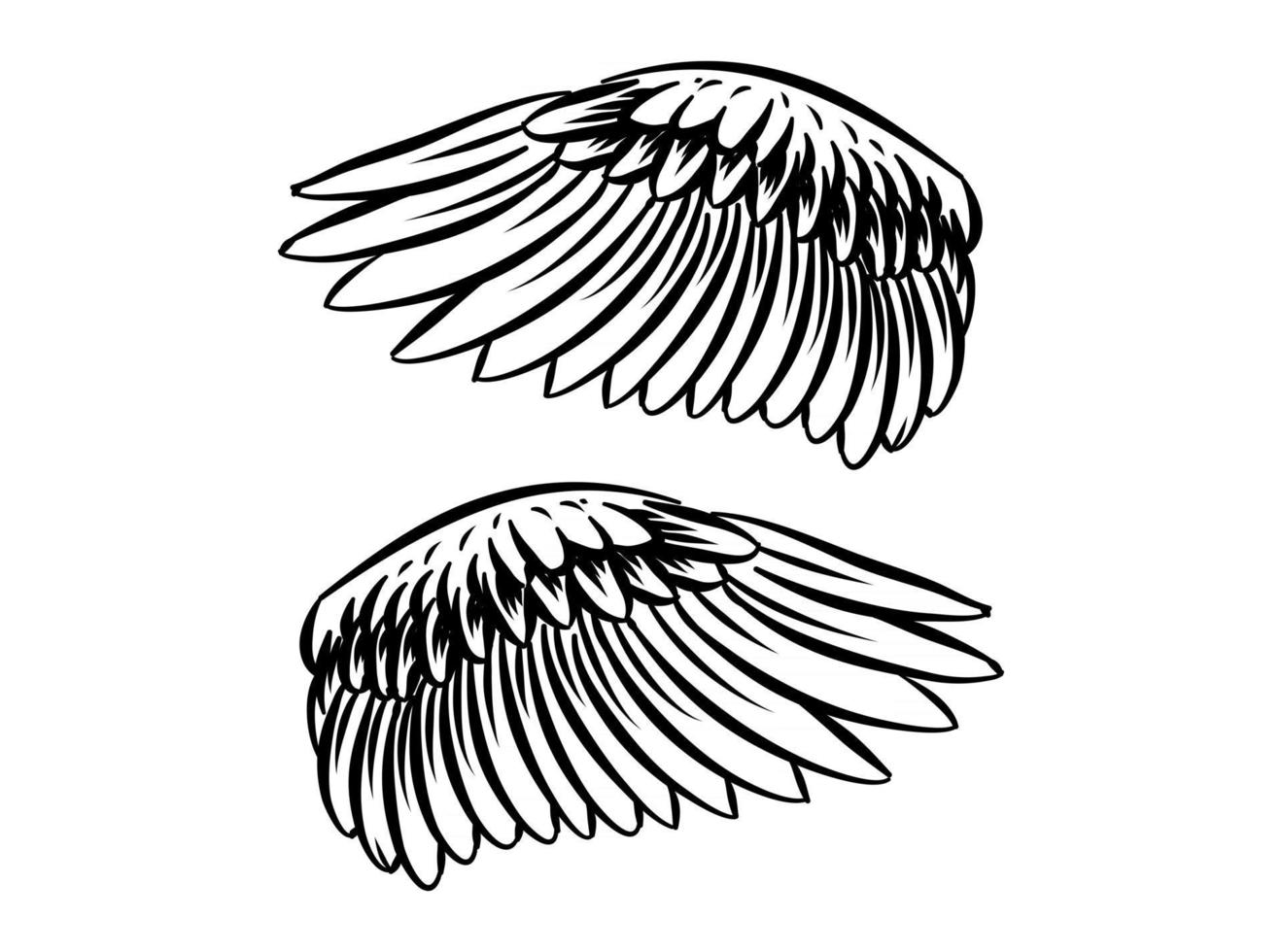 Ilustración de alas de pájaro para elemento de marca. vector
