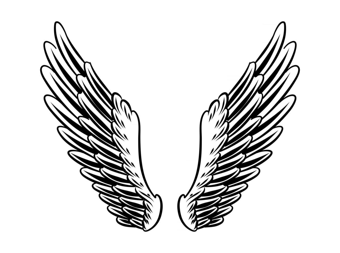 Illustration of Bird Wings for branding element vector