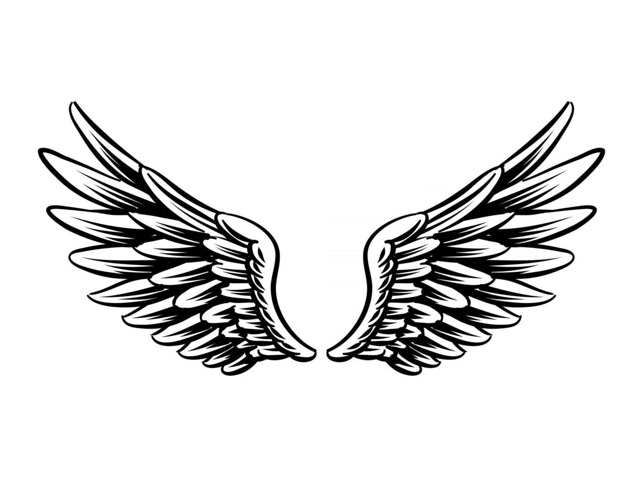 Illustration of Bird Wings for branding element vector