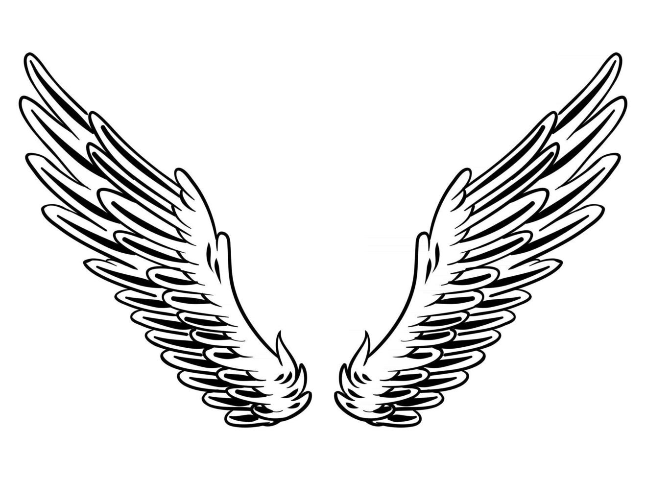 Illustration of Bird Wings for branding element vector