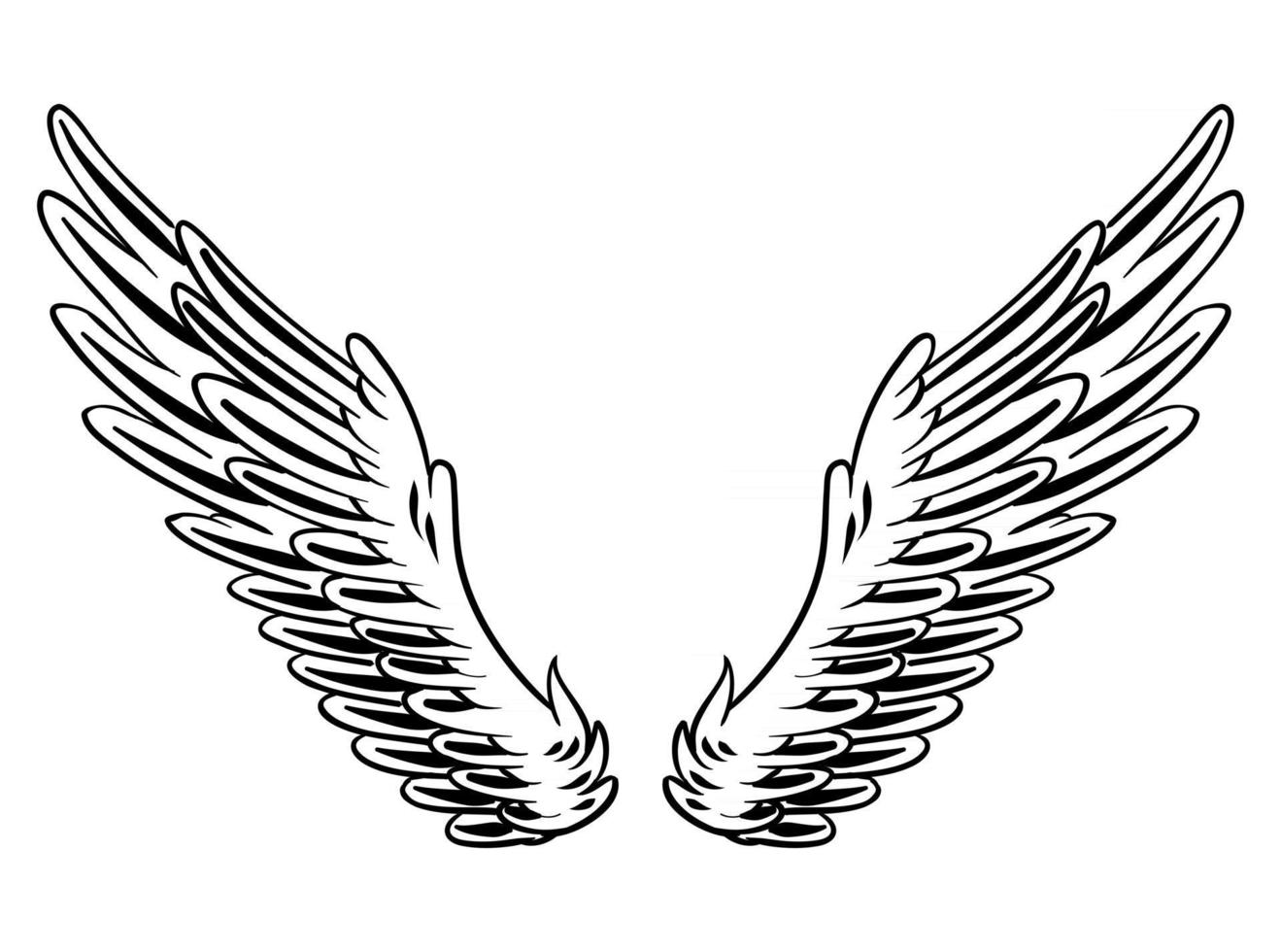 Illustration of Bird Wings for branding element vector