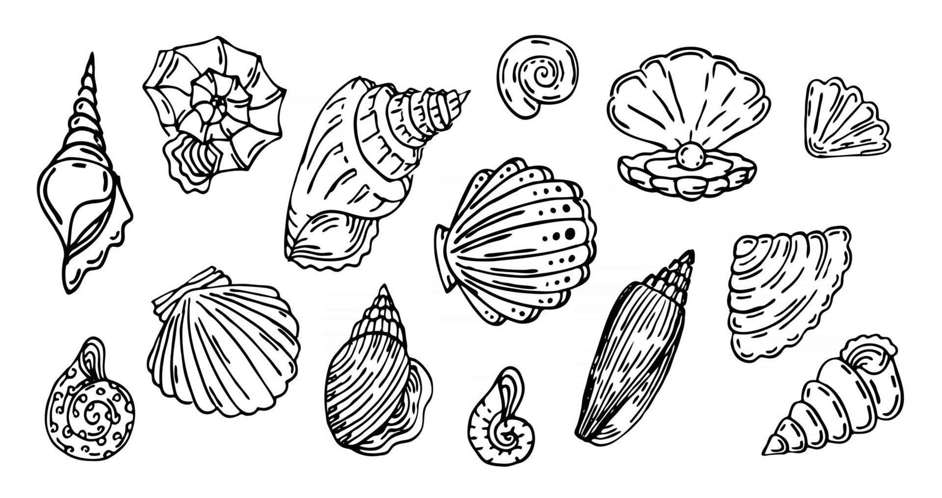 hell, outline set, Vector collection of seashell outline black line