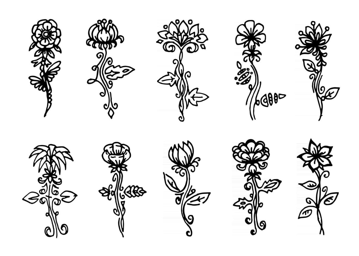 vector flowers set, black line art isolated on white background
