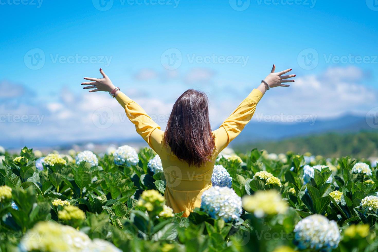 Feliz mujer asiática tiene su mano en un campo de flores de hortensias foto