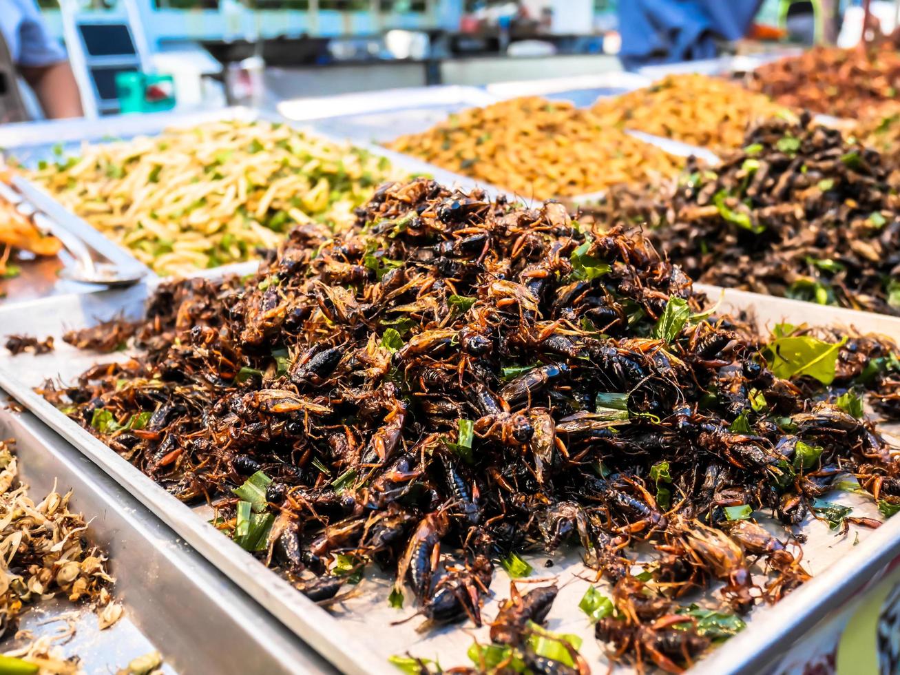 Insectos fritos en el mercado nocturno de comida callejera de Tailandia foto