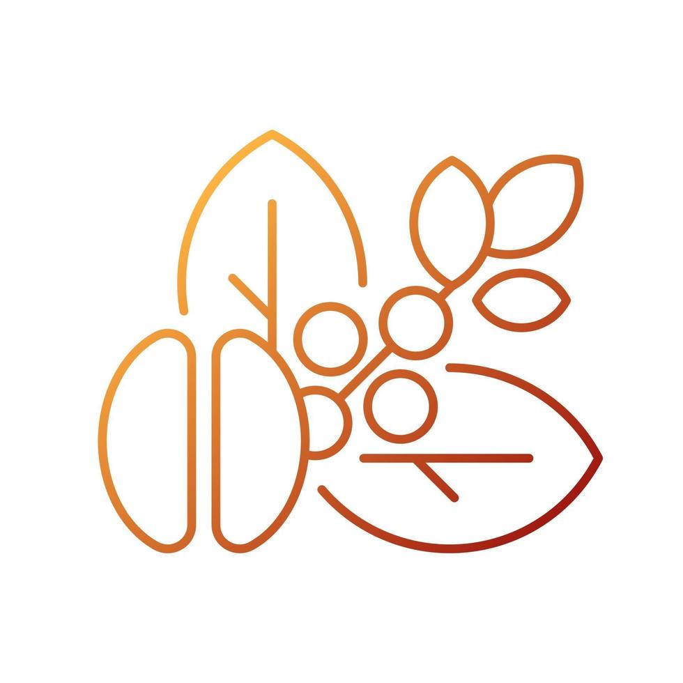Raw coffee beans gradient linear vector icon