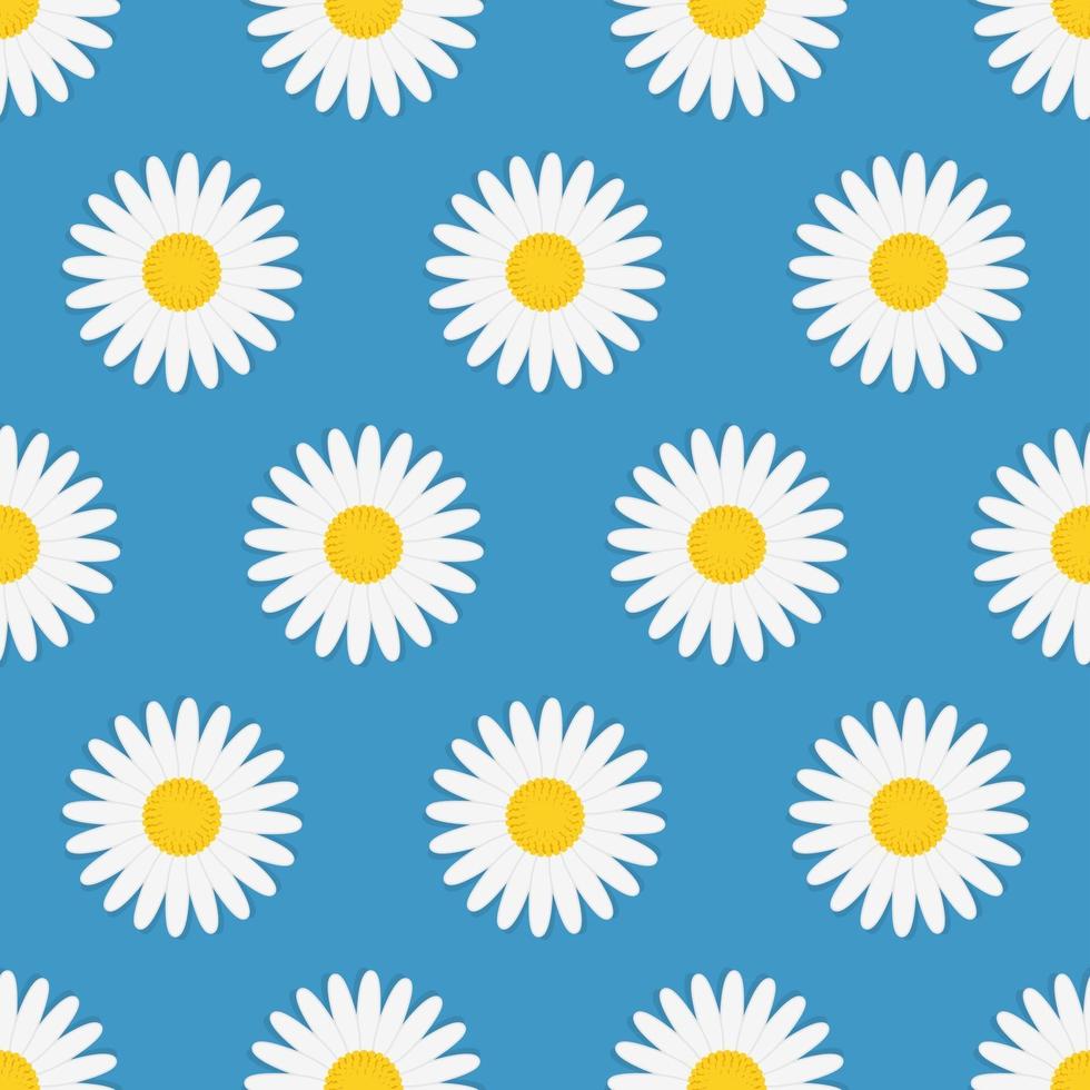 Summer Seamless Pattern with Chamomile Flowers vector