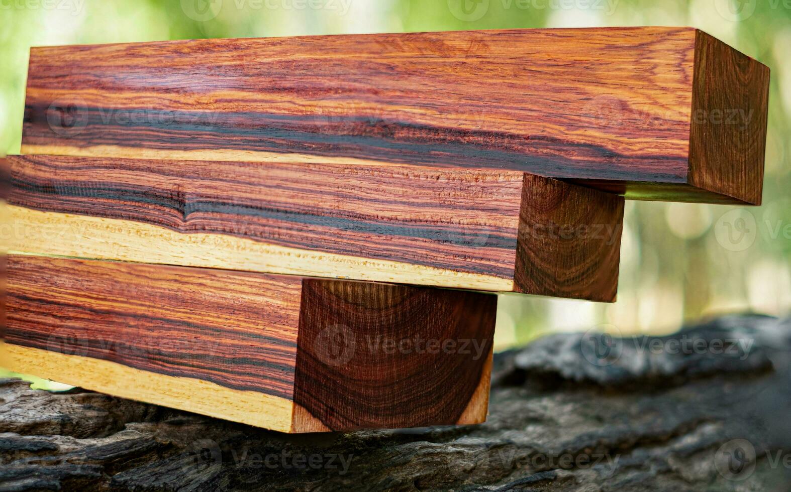 Wood logs of Burmese rosewood photo