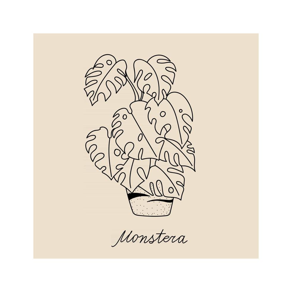 Hand drawn illustration of plant monstera for posters, cards vector