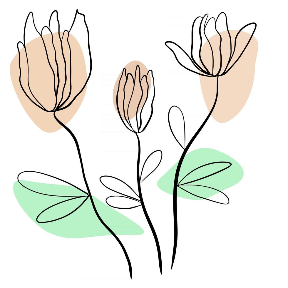 One line art flowers vector