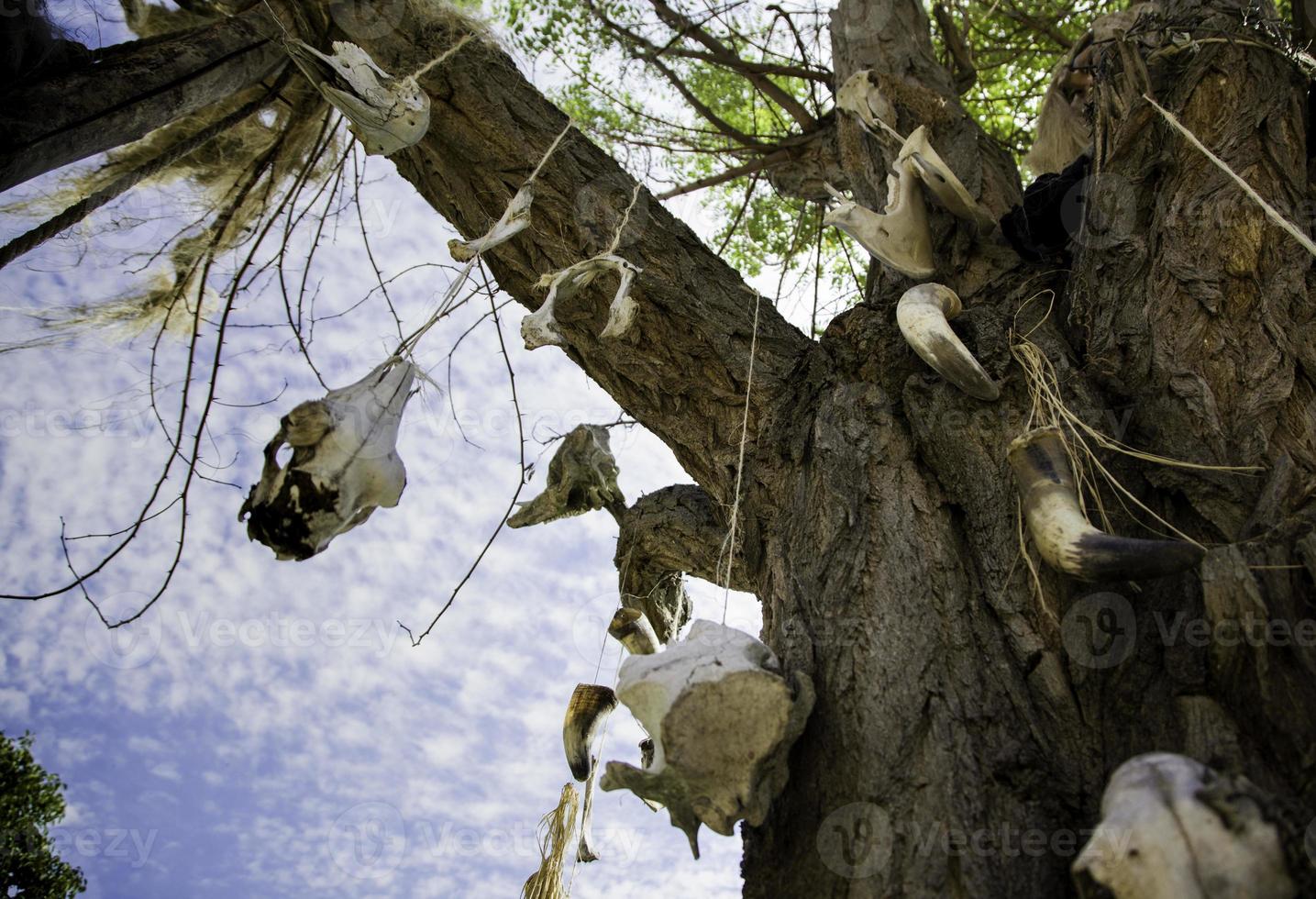 árbol con cráneos de animales foto