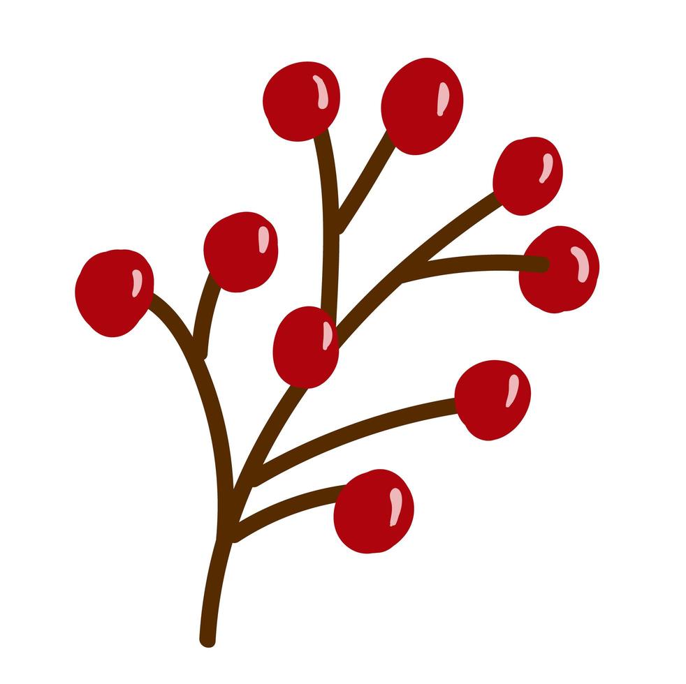 Bunch of rowan berries isolated on white background vector