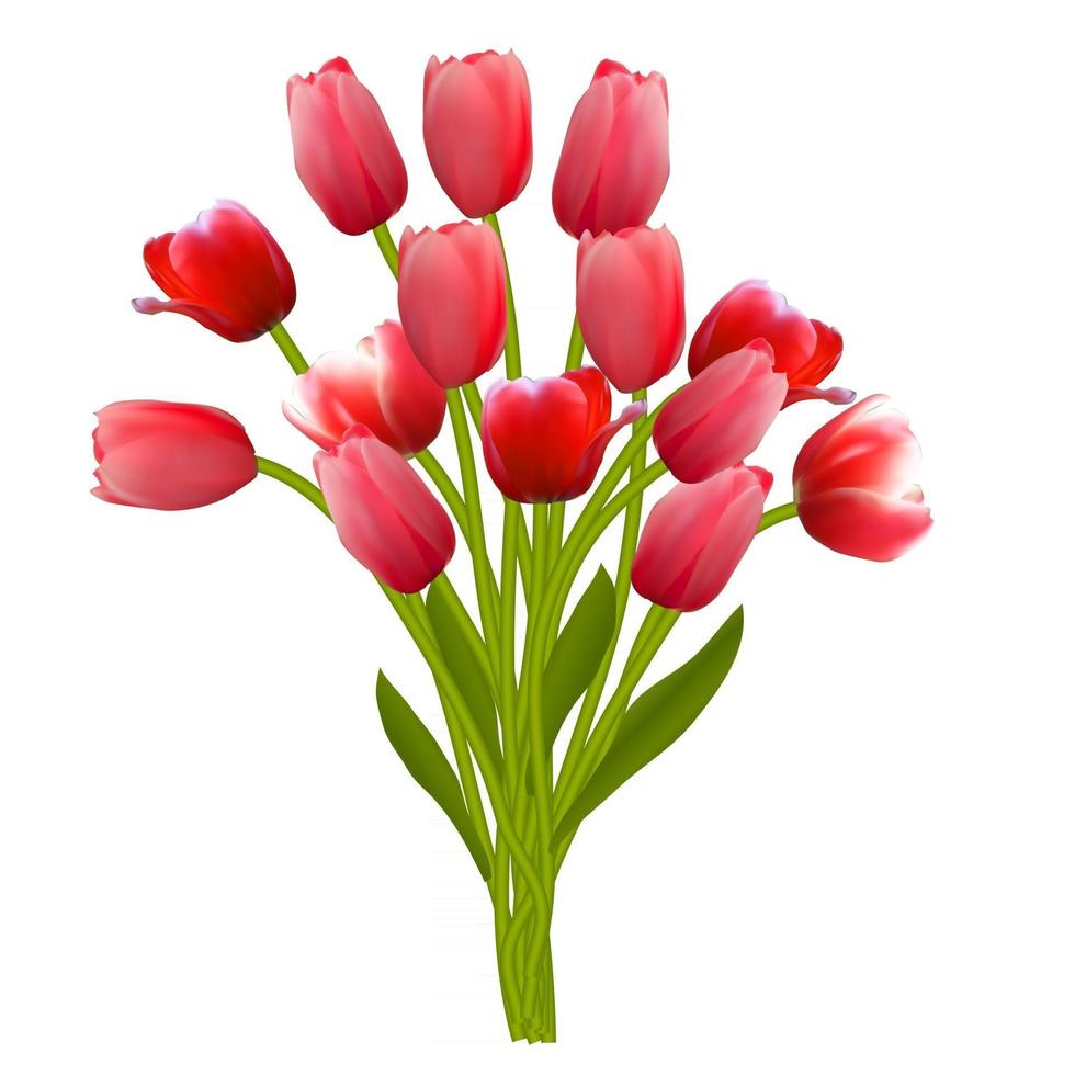 Floral background with Tulips Vector Illustration