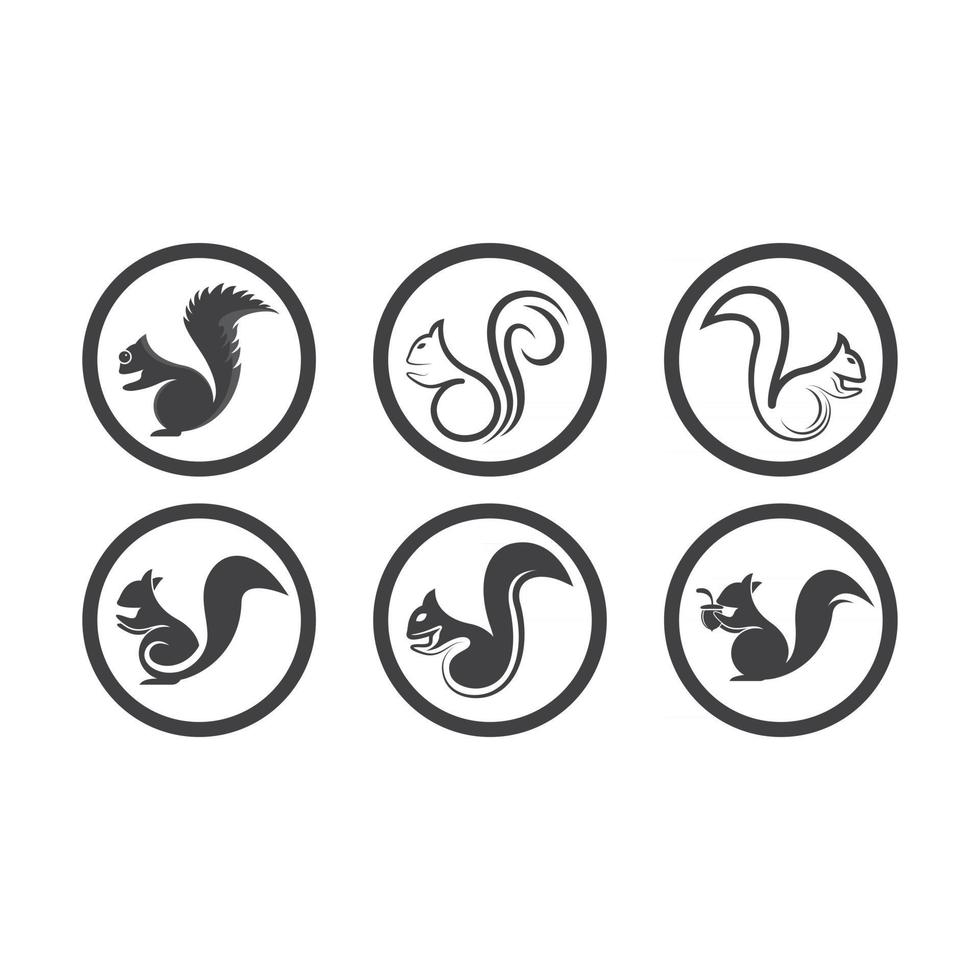 Squirrel logo images illustration vector