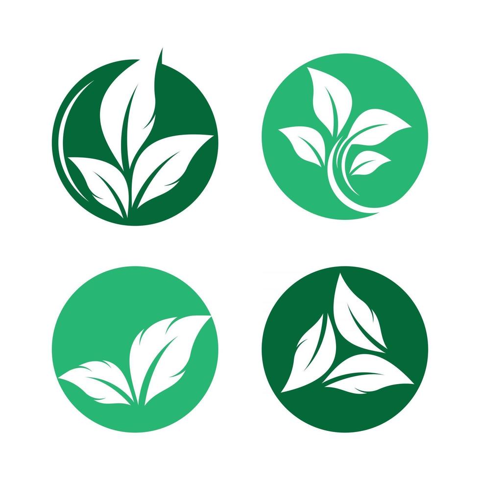 imagenes de logo de hoja vector