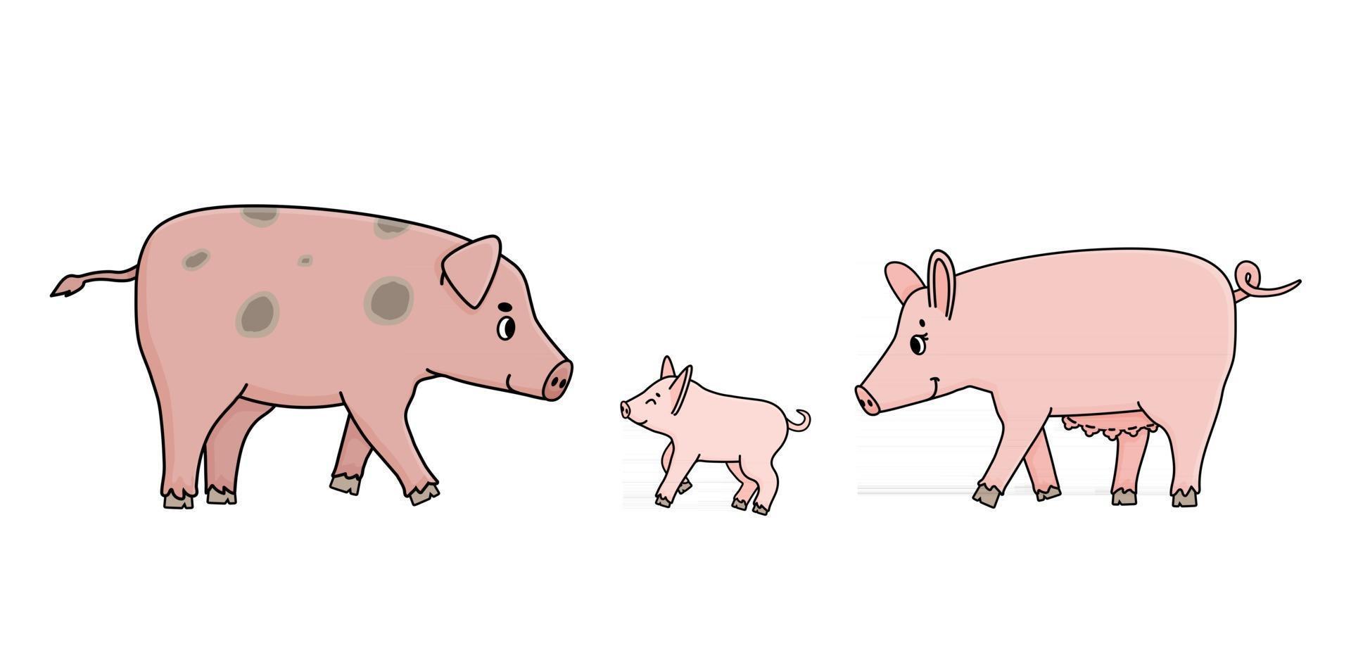 Cute pink pigs family. Father, mother sow and a piglet vector