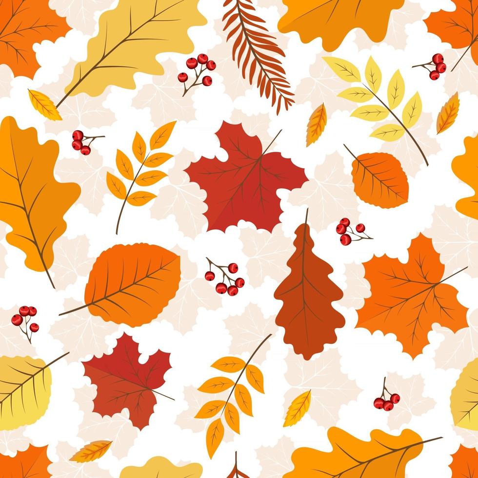 hojas de otoño con fondo transparente de frutos rojos. vector