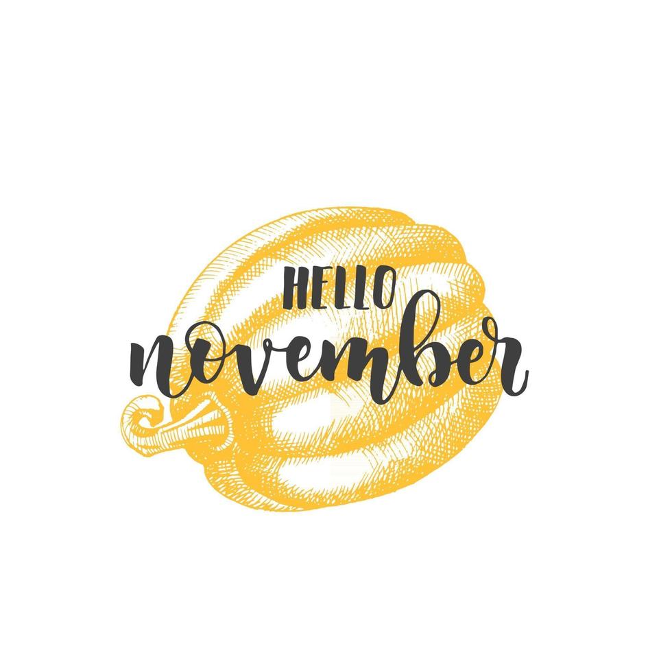 frase de caligrafía de letras - hola noviembre y calabaza. vector