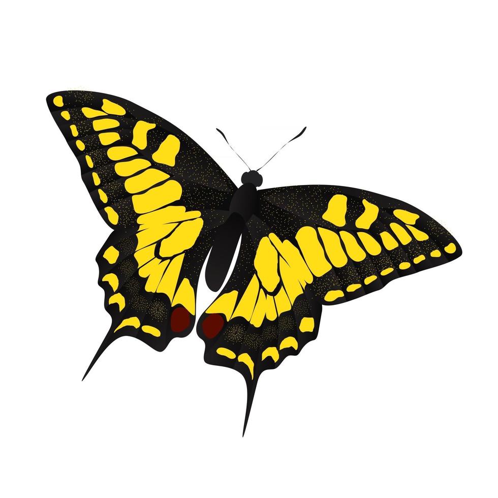 Ilustración de vector de mariposa