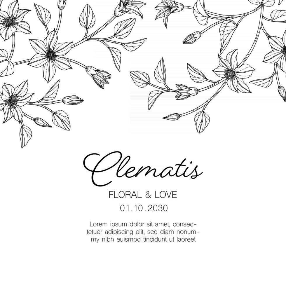 Fondo de tarjeta de felicitación floral clematis dibujado a mano. vector