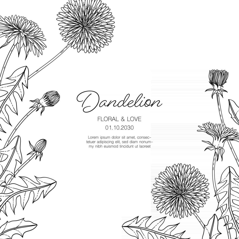 Hand drawn dandelion floral greeting card background. 2948676 Vector Art at  Vecteezy