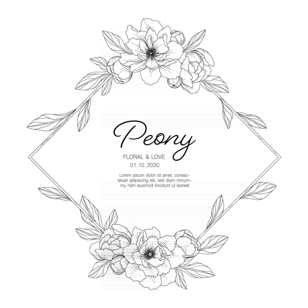 Hand drawn peony floral greeting card background. vector