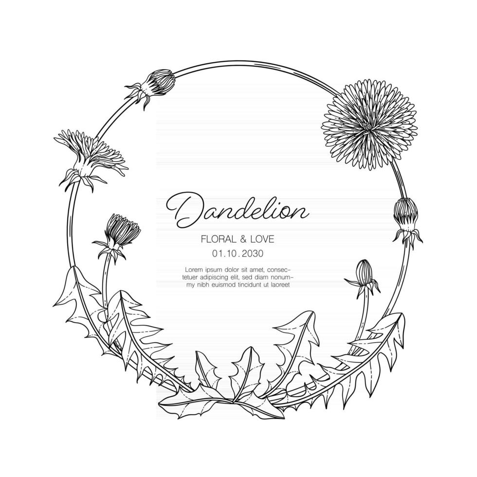 Hand drawn dandelion floral greeting card background. 2948701