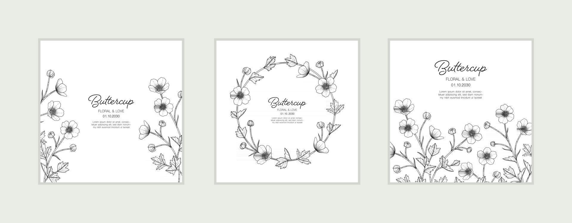 Hand drawn buttercup floral greeting card background. vector