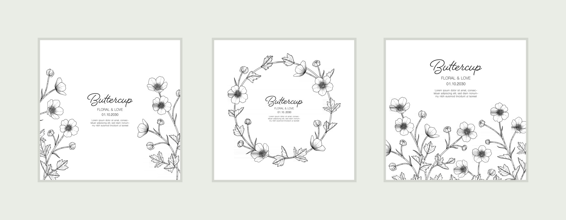 Hand drawn buttercup floral greeting card Vector Image