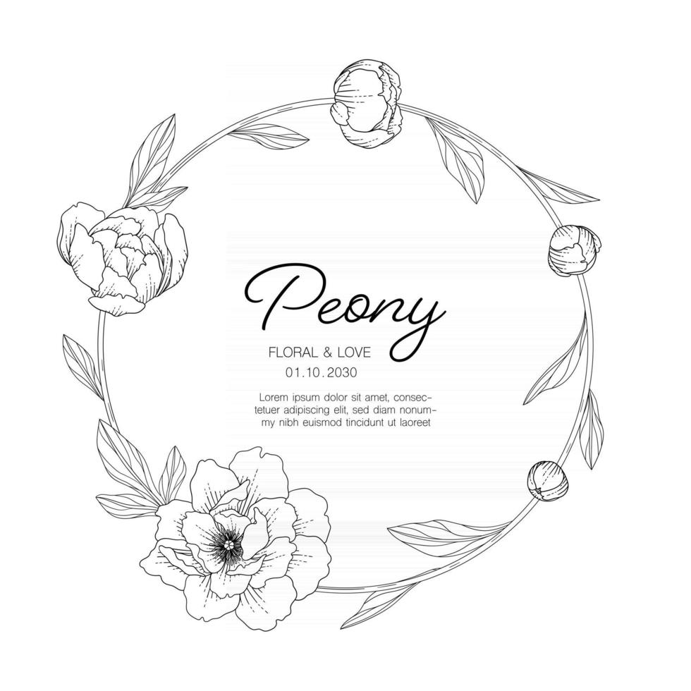 Hand drawn peony floral greeting card background. vector
