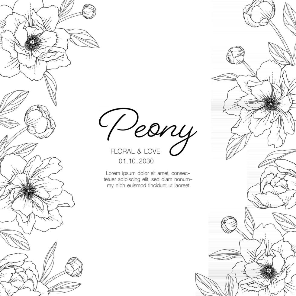 Hand drawn peony floral greeting card background. vector