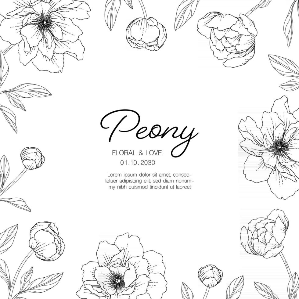 Hand drawn peony floral greeting card background. vector