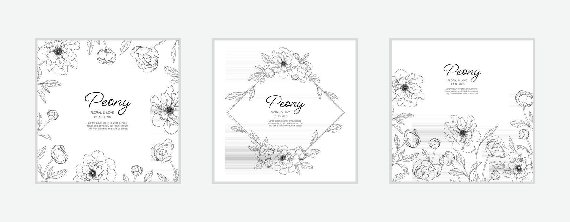 Hand drawn peony floral greeting card background. vector