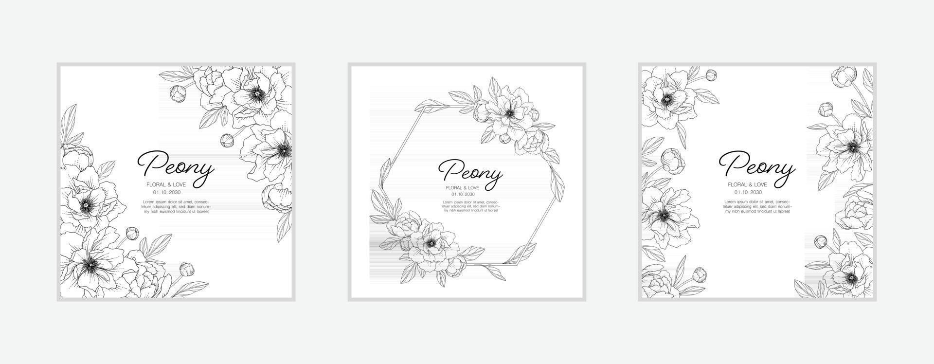 Hand drawn peony floral greeting card background. vector