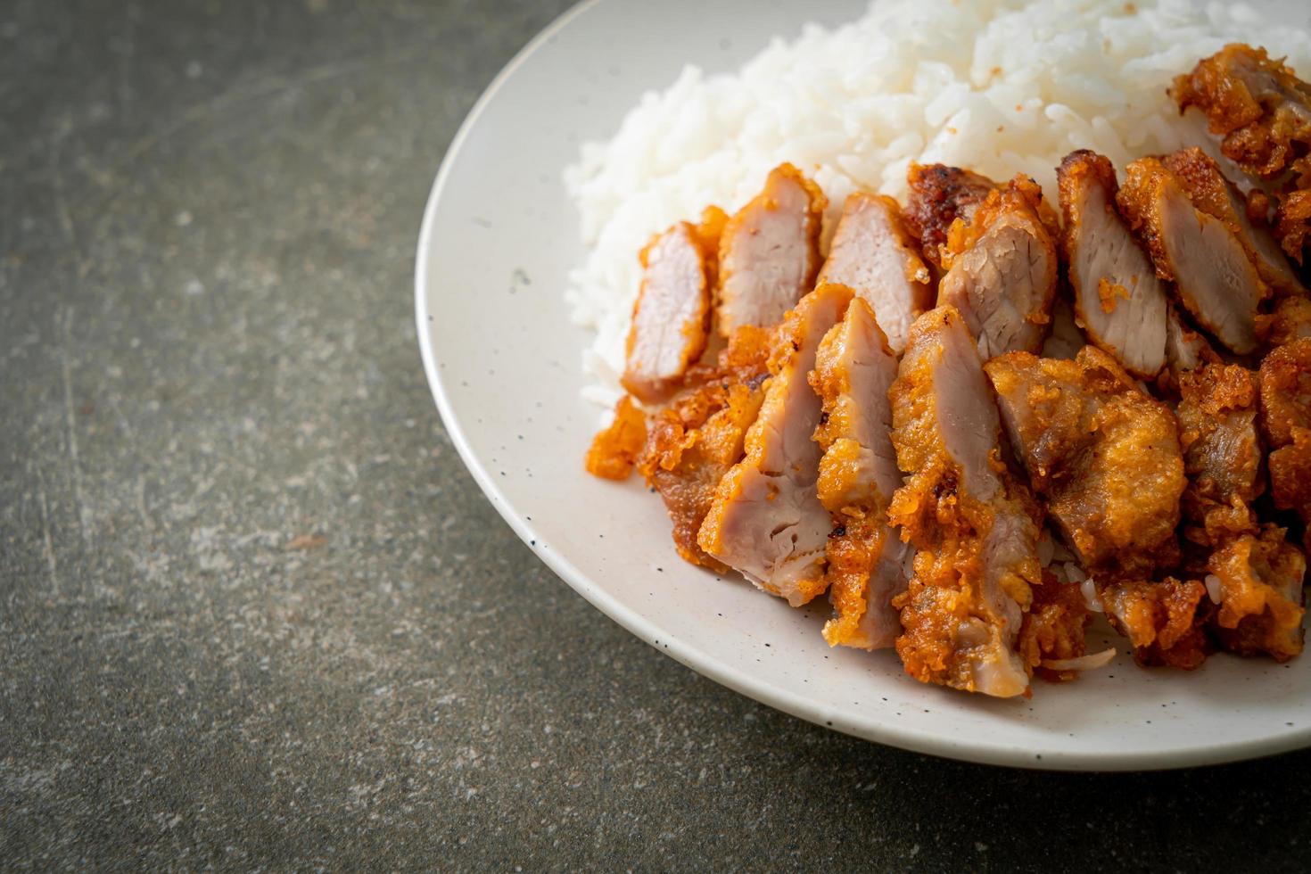 Fried pork topped on rice with spicy dipping sauce photo