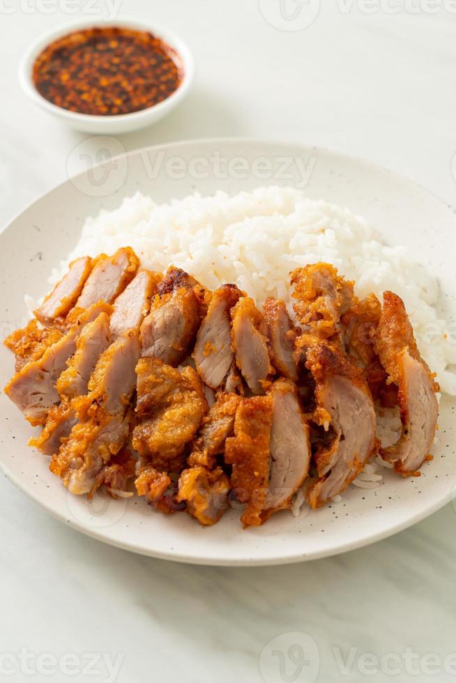 Fried pork topped on rice with spicy dipping sauce photo