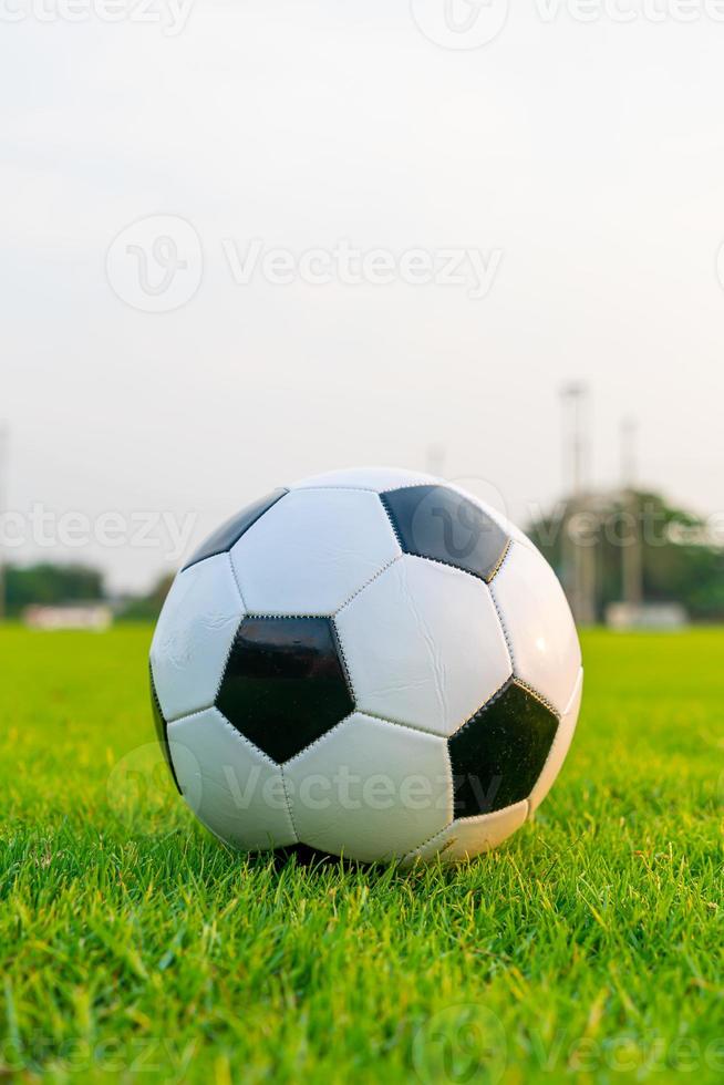 Soccer ball on the ball field photo